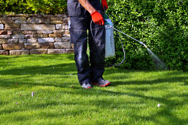 Reliable Herscher, IL Pest Control Solutions